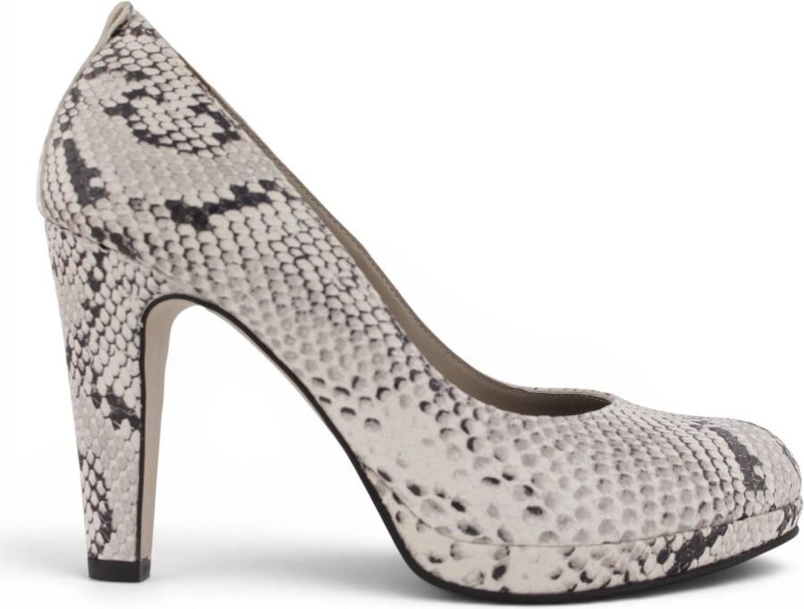 Noë Shoes Nabla Pump White Black Snake