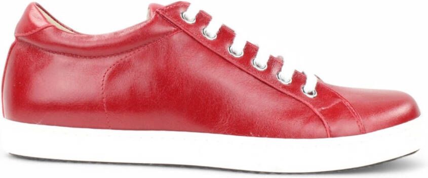 Noë Shoes Naby Sneaker Ruby