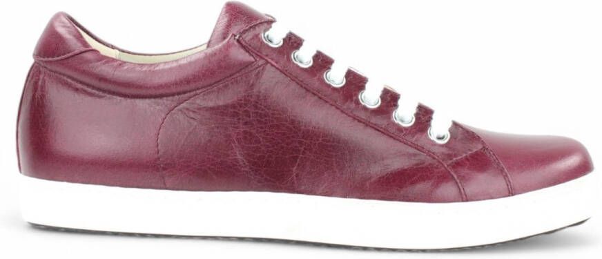 Noë Shoes Naby Sneaker Wine