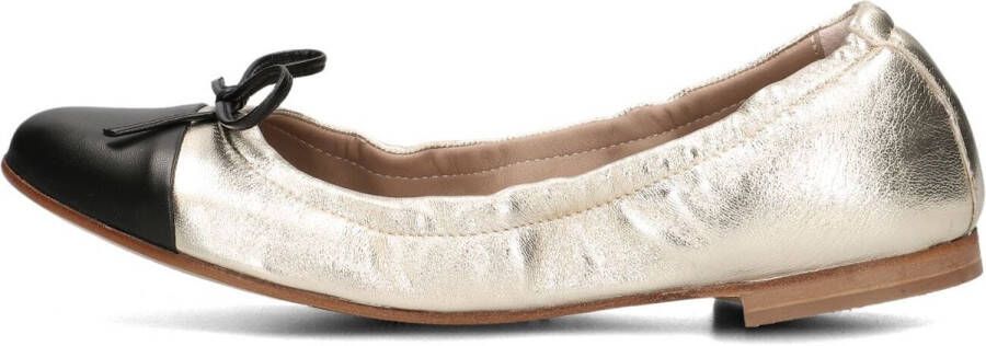 Notre-V 08-323 Ballerina's Dames Goud