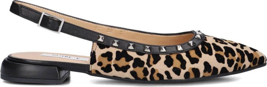Notre-V 12270 Schoenen Dames Bruin
