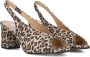Notre-V 16068 Schoenen Dames Beige - Thumbnail 2
