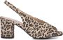 Notre-V 16068 Schoenen Dames Beige - Thumbnail 7