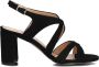 Notre-v Dames Sandalen 22552 Black Dames - Thumbnail 2