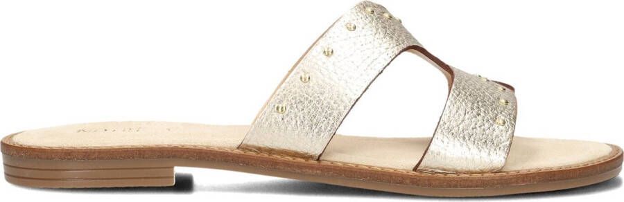 Notre-V 22743 Slippers Dames Goud