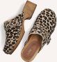 Notre-v Dames Clogs 7743 Brown Dames - Thumbnail 6