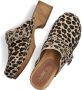 Notre-v Dames Clogs 7743 Brown Dames - Thumbnail 6