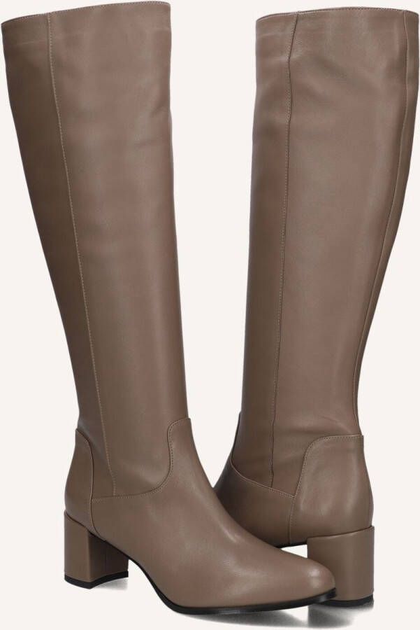 Notre-v Taupe Hoge Laarzen voor Stijlvolle Herfst - Foto 2