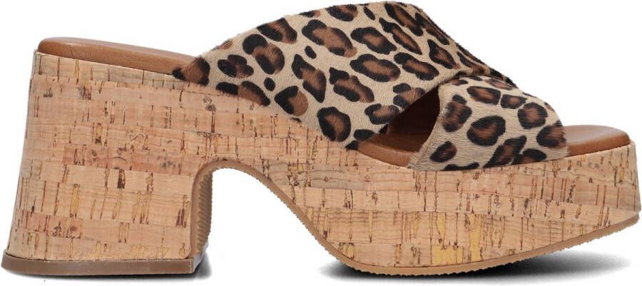 Notre-V 989001 Hakken Dames Bruin