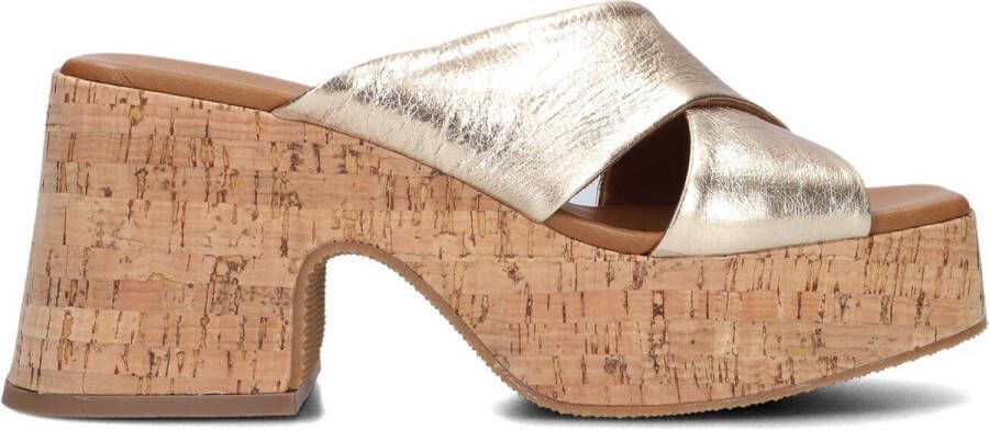 Notre-V 989001 Hakken Dames Goud