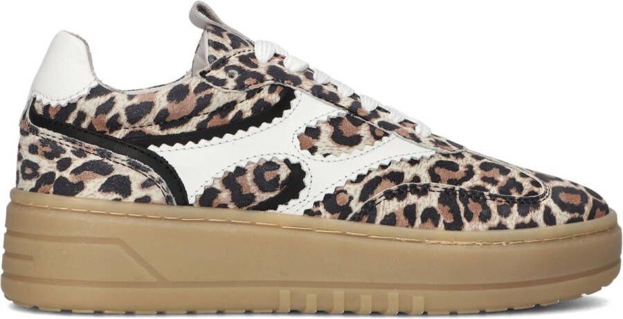 Notre-V Anemone-63 Sneakers Suède Dames Bruin