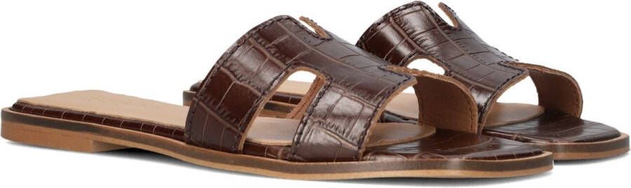 Notre-V As-16221 Slippers Dames Bruin