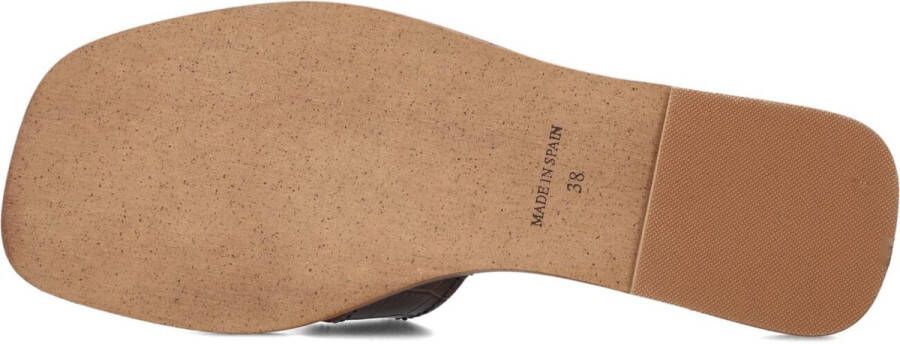 Notre-V As-16221 Slippers Dames Bruin