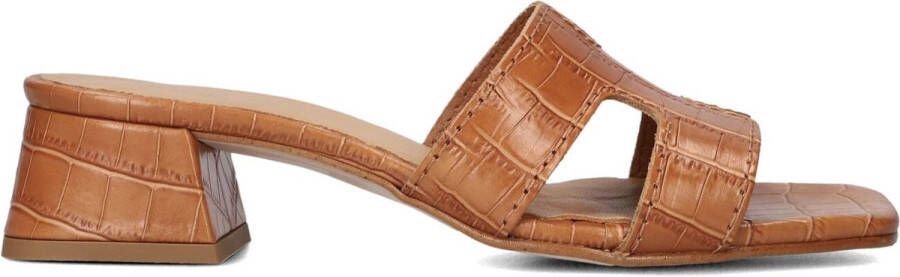 Notre-V As-16621 Hakken Dames Bruin
