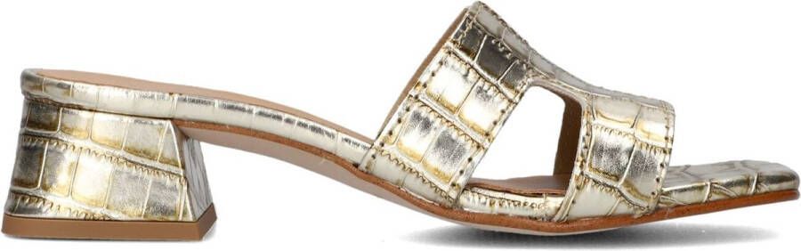 Notre-V As-16621 Hakken Dames Goudkleurig
