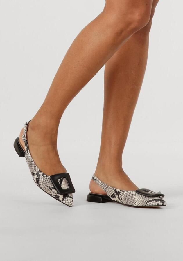 Notre-V 12241 Schoenen Dames Beige - Foto 3