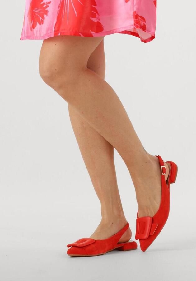 Notre-V 12241 Schoenen Dames Rood - Foto 2