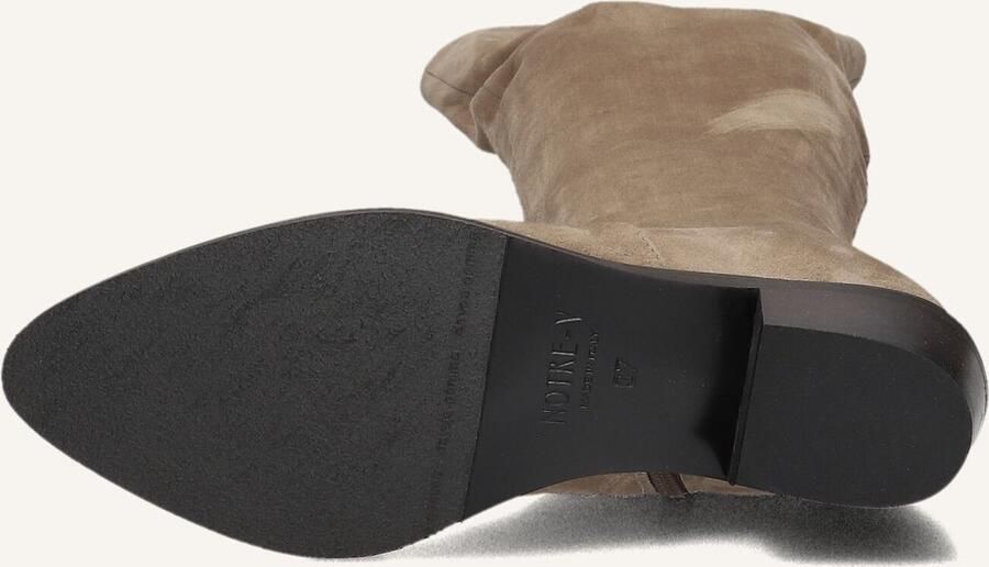 Notre-V 394492 Laarzen Suède Dames Taupe - Foto 3