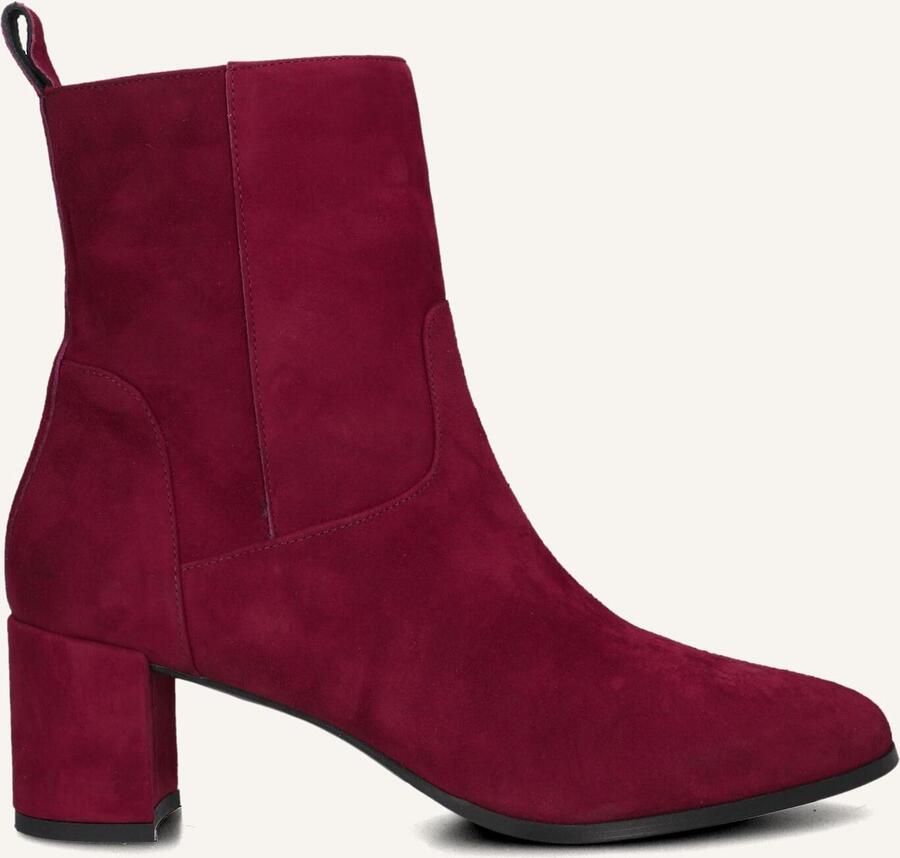 Notre-V 8543 Enkellaarsjes Enkelboots met rits Dames Rood - Foto 3
