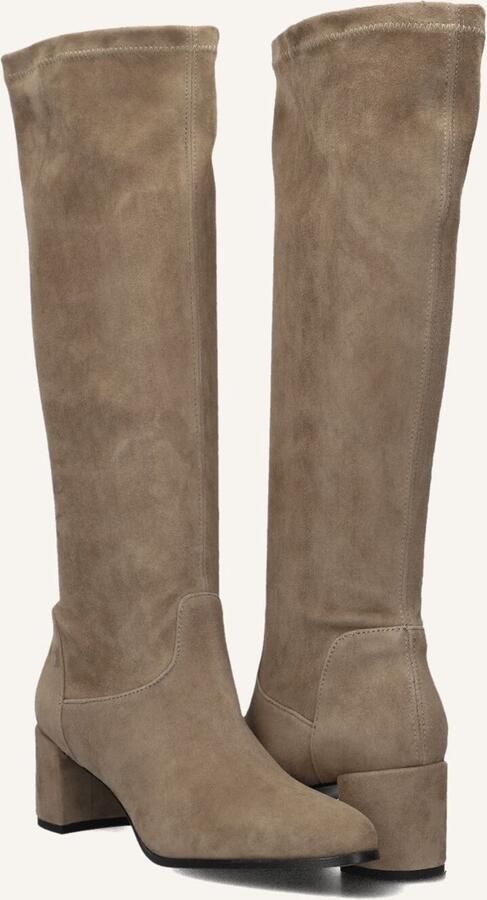 Notre-V 8581 Laarzen Leer Dames Taupe - Foto 4