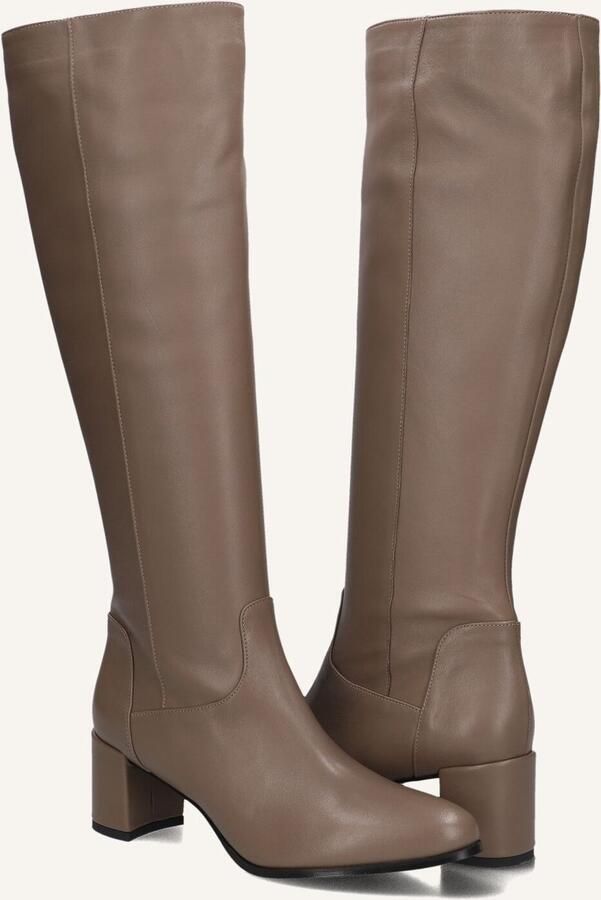 Notre-v Taupe Hoge Laarzen voor Stijlvolle Herfst - Foto 2