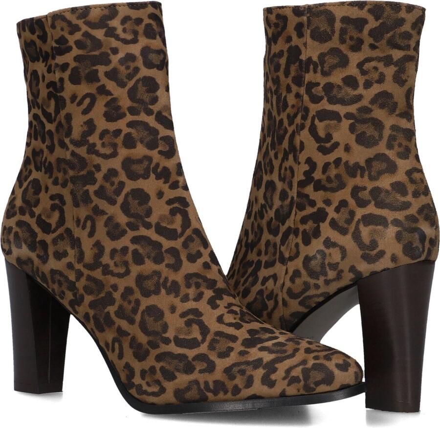 Notre-V 97436 Enkellaarsjes Enkelboots met rits Dames Bruin - Foto 4