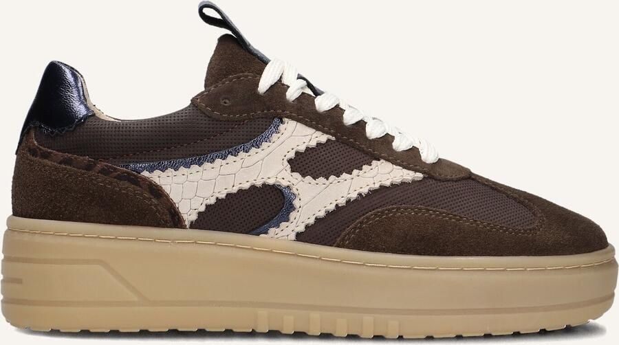 Notre-V Anemone-63 Sneakers Dames Bruin