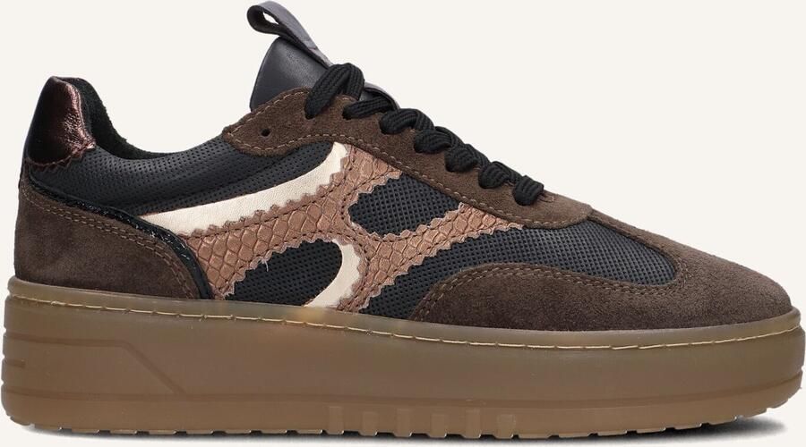 Notre-V Anemone-63 Sneakers Dames Bruin