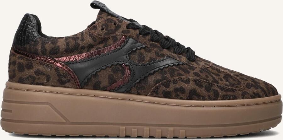 Notre-V Anemone-63 Sneakers Dames Bruin