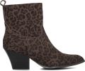 Notre-V Shn80672 Enkellaarsjes Enkelboots met rits Dames Bruin - Bruin