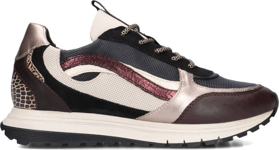 Notre-V Rylie-01 Sneakers Dames Leren Sneaker Bruin