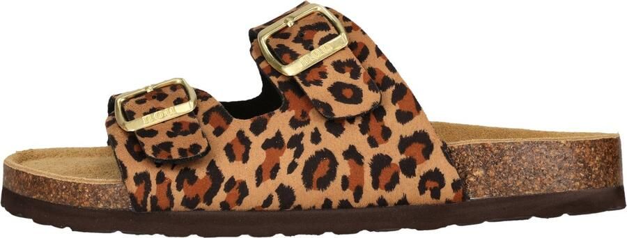 Nou Sandalen Whitehill V2