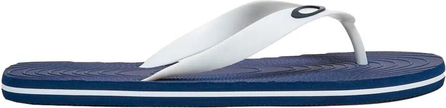 Oakley Apparel Catalina Slippers Blauw Man