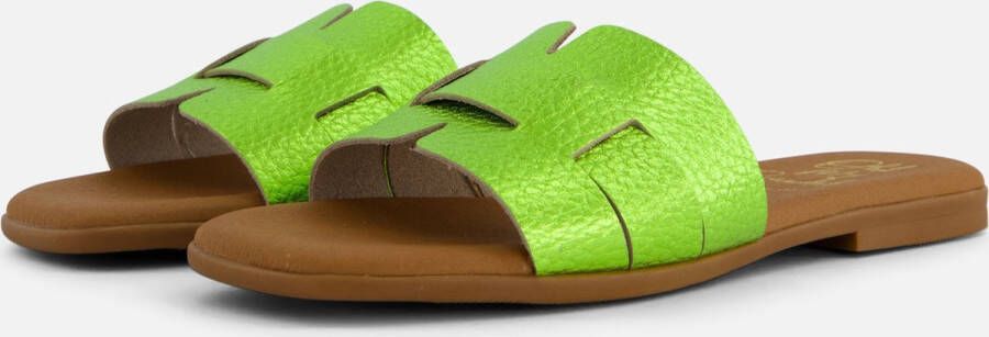 OH MY SANDALS sandalen groen Dames