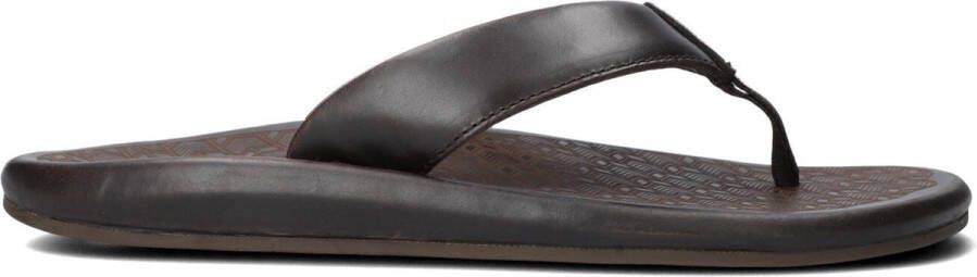 Bruin Tinten Ilikai Slippers Heren Bruin