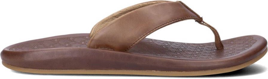 Bruin Tinten Ilikai Slippers Heren Cognac