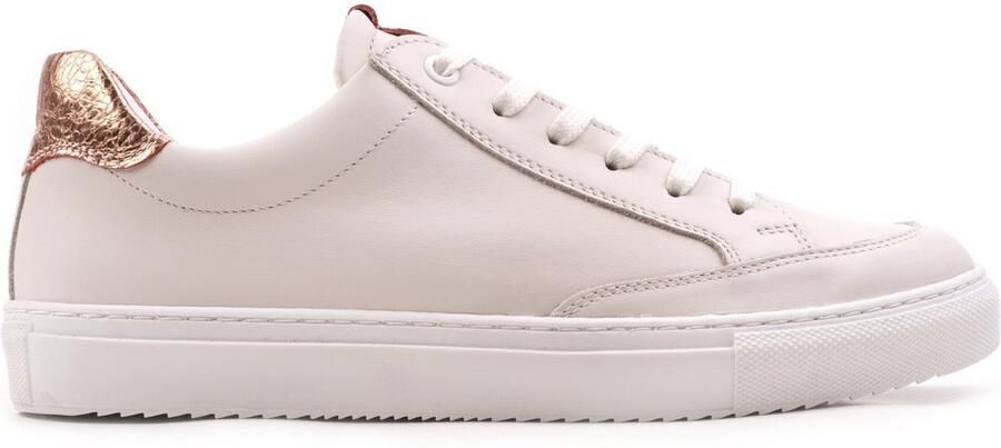 OMNIO alfa retro sneakers dames beige rosé leer
