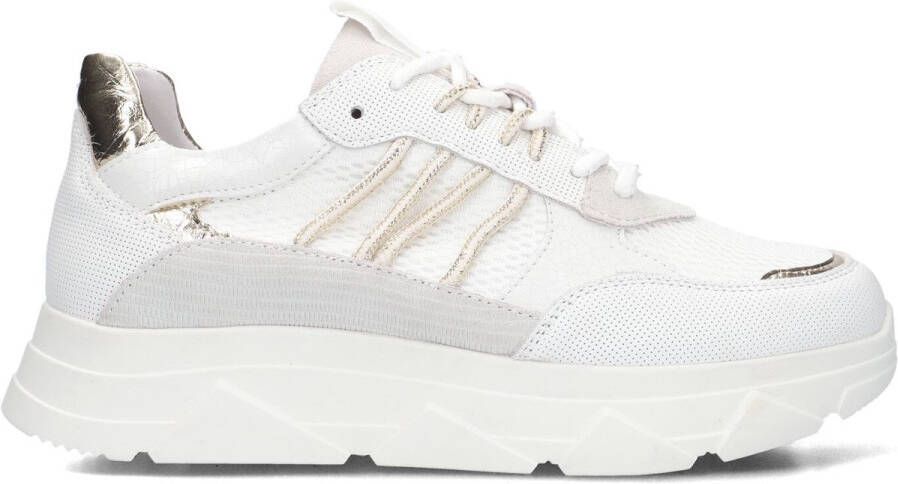 Omoda Kady Fat 435 Sneakers Dames Wit