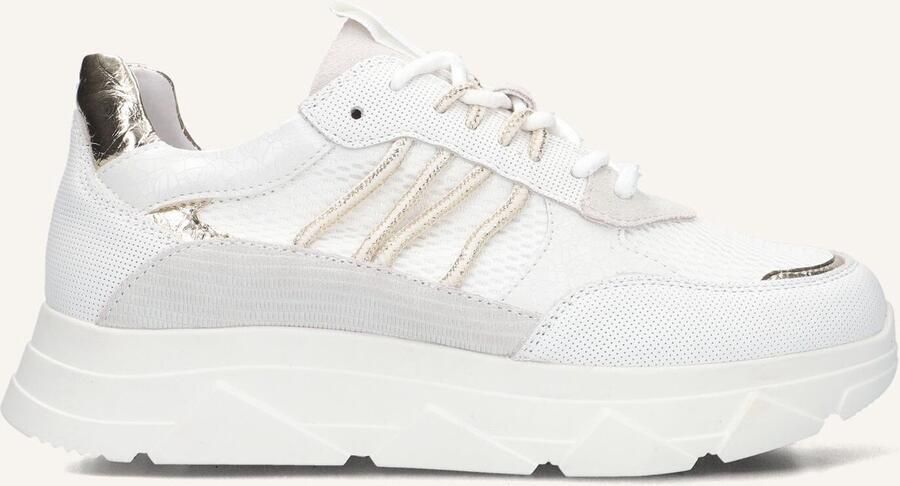 Omoda Kady Fat 435 Sneakers Dames Wit