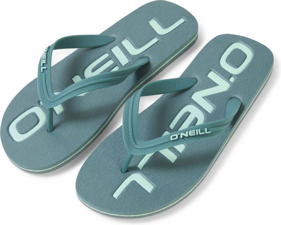 O'Neill Schoenen Men PROFILE LOGO SANDALS North Atlantic 40 North Atlantic 100% Polyethylene Upper: TPU