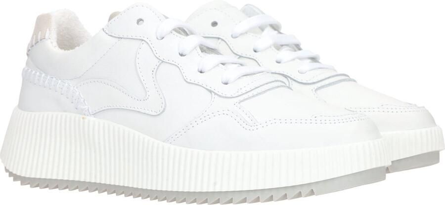 Palpa Veterschoenen Laag Veterschoenen Laag wit - Foto 14