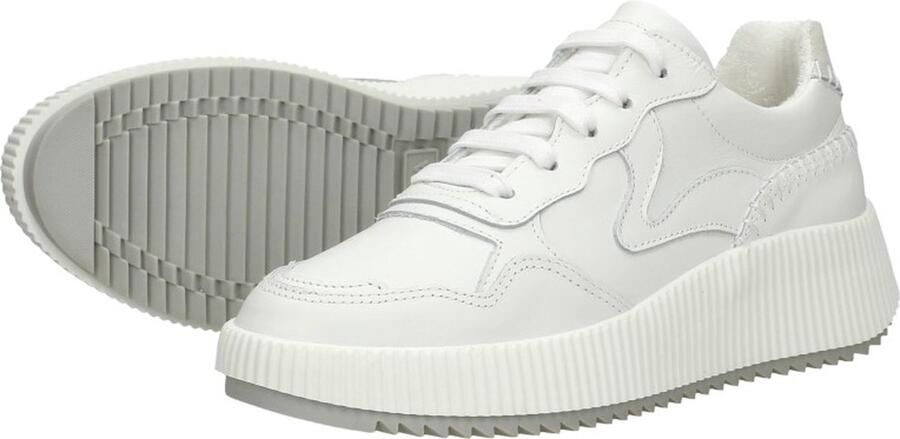 Palpa Veterschoenen Laag Veterschoenen Laag wit - Foto 10