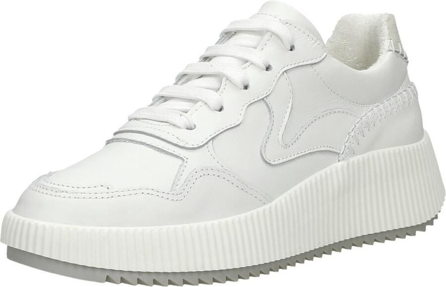 Palpa Veterschoenen Laag Veterschoenen Laag wit - Foto 6