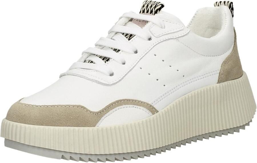 Palpa Veterschoenen Laag Veterschoenen Laag gebroken wit - Foto 5