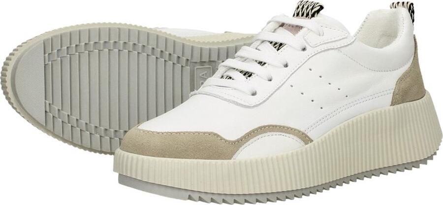 Palpa Veterschoenen Laag Veterschoenen Laag gebroken wit - Foto 10