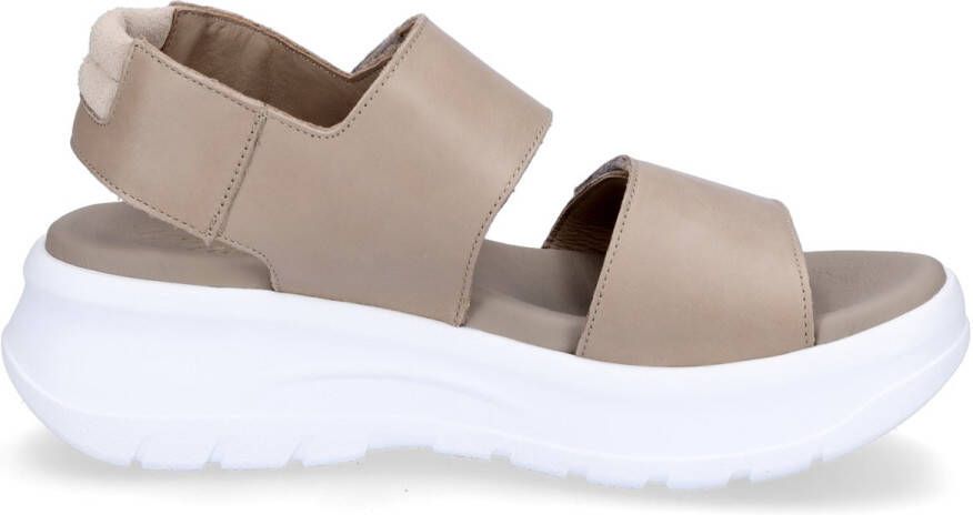Panama Jack Platte Sandalen met Bandjes Brown Dames