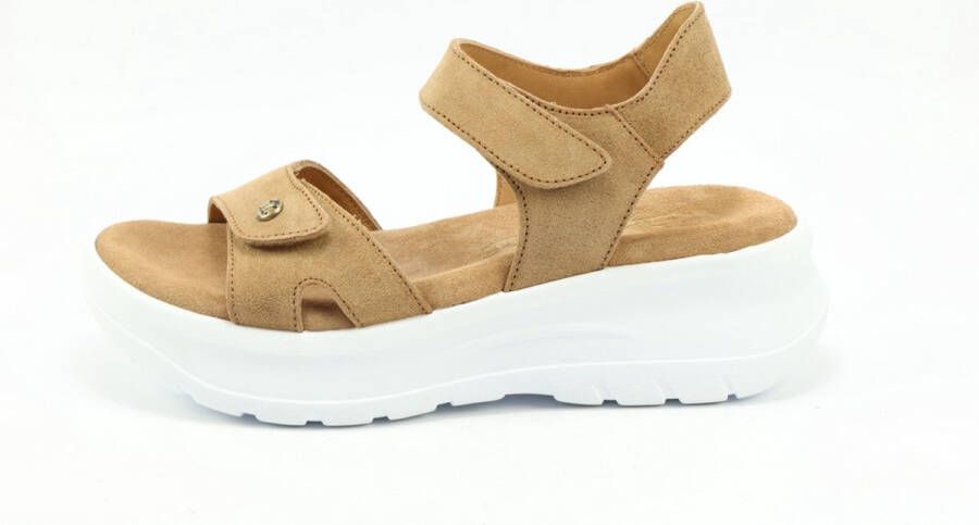 Panama Jack Nita B2 velour cuero COGNAC