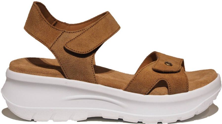 Panama Jack Platte Sandalen met Plakband Brown Dames