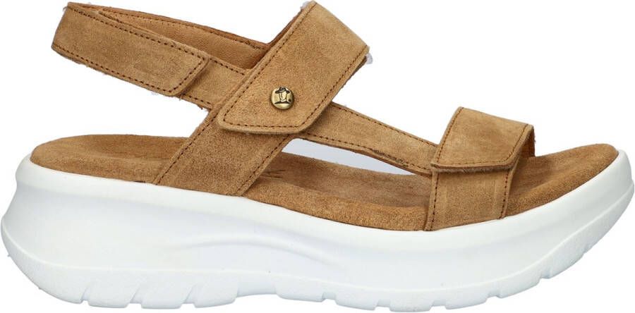 Panama Jack Noor B5 Sandalen Dames Camel