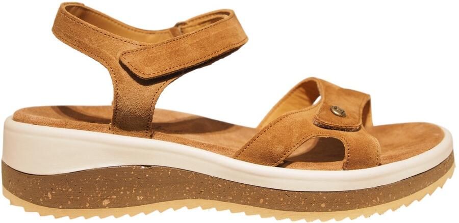 Panama Jack bruine nubuck dames sleehakken Alice B1